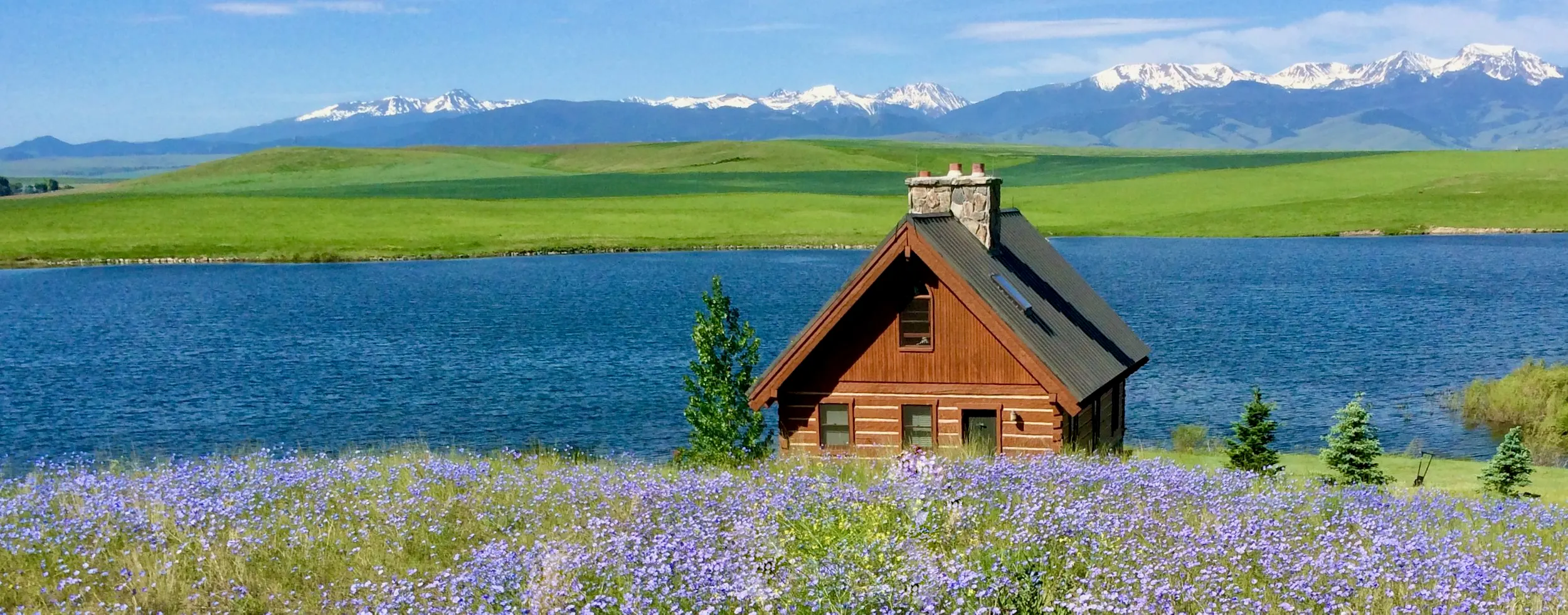 The log-cabin chapel on the shore of Harrison Lake, with purple lupine in the foreground and snow-capped mountains beyond.