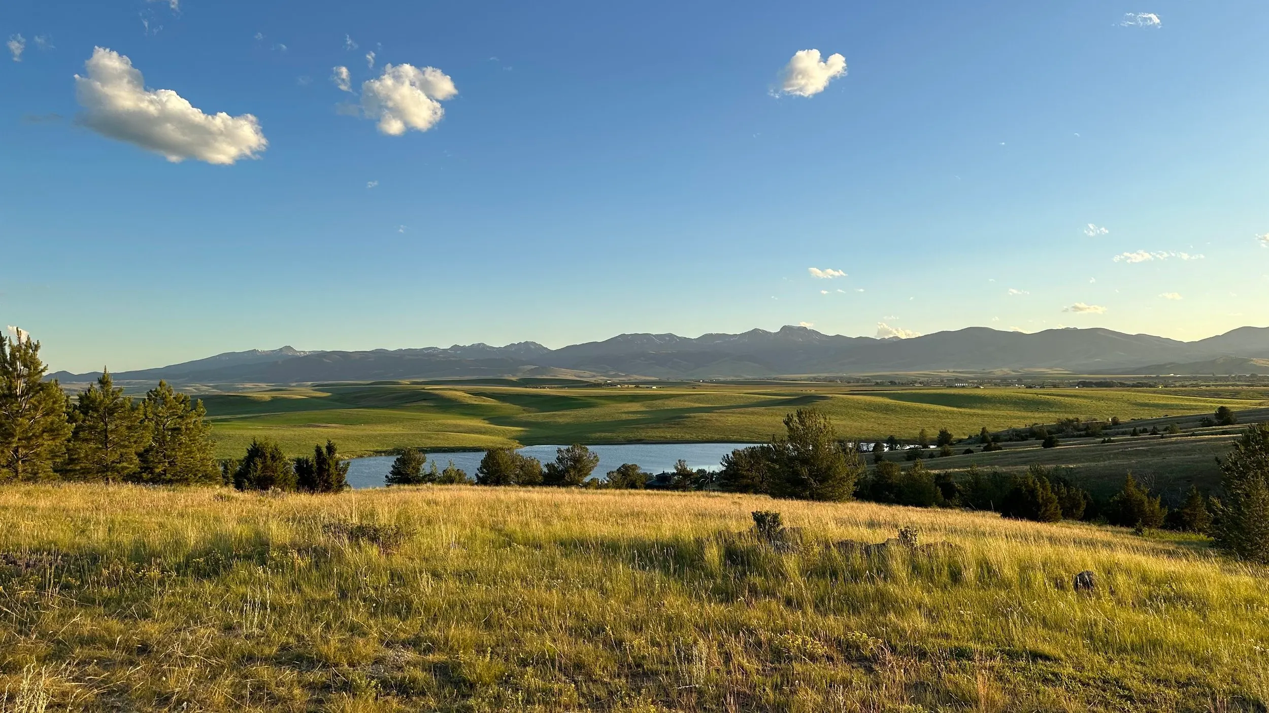 Golden grass on a hillside overlooking the green Madison Valley, a lake and distant mountains under a blue sky.